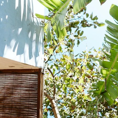 Tortuga Blue House In Banana Plantation Villa Арукас Екстериор снимка